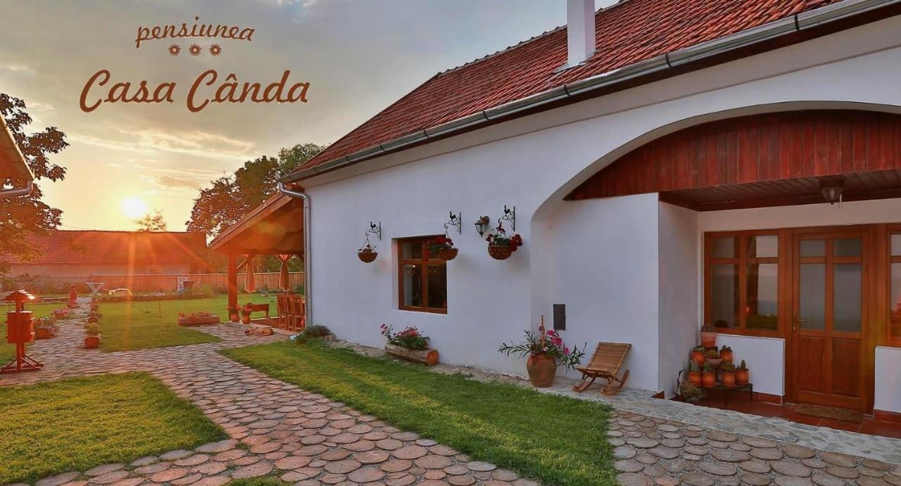 Casa Cânda Salasu de Sus Exterior foto